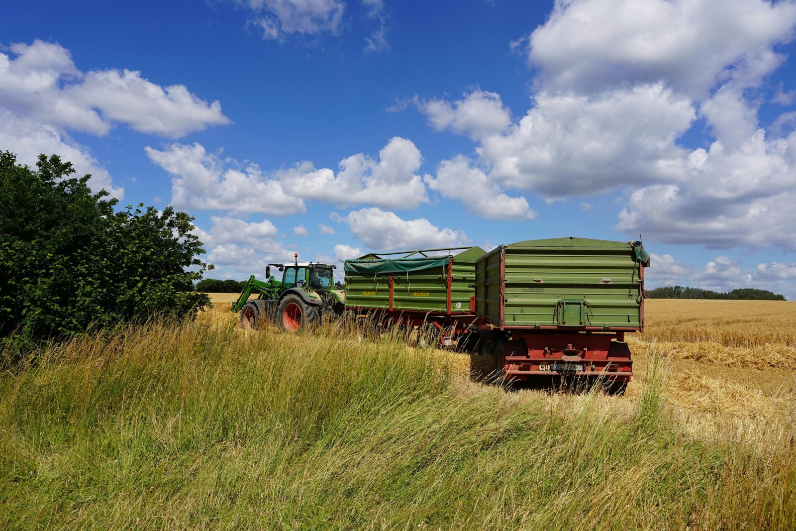 pexels wolfgang weiser 467045605 35284420